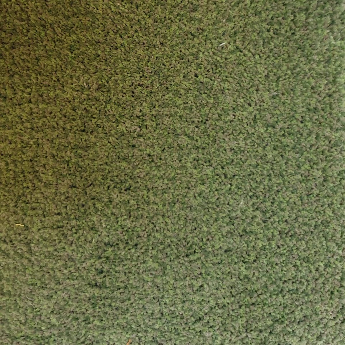 Van Besouw type 3802 kleur 432